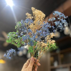 Hoa khô trang trí xinh xắn